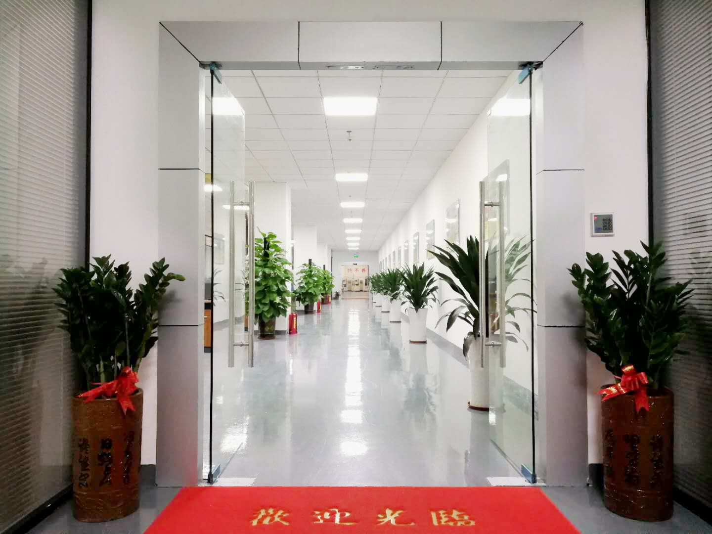 青青草视频app科 青青草视频app科