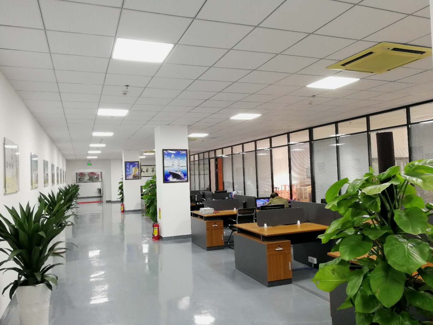 青青草视频app科 青青草视频app科