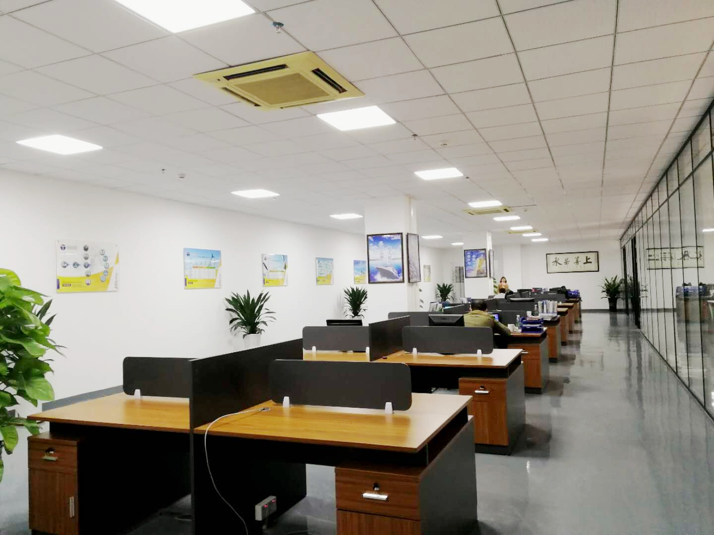 青青草视频app科 青青草视频app科